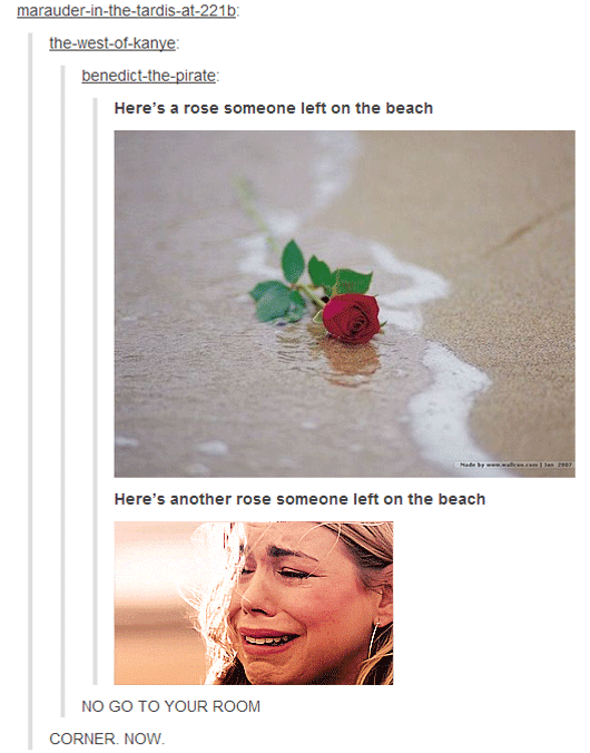 here's a rose someone left on the beach doctor who know your meme f6e here's a rose someone left on the beach doctor who know your meme,Meme Rose