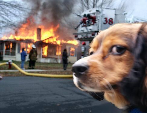 disaster dog disaster girl know your meme b33 disaster dog disaster girl know your meme