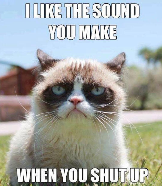 Super Funny Grumpy Cat Memes Super Funny Grumpy Cat Memes