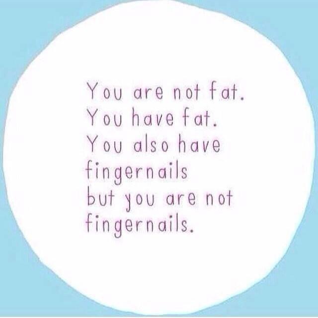 You're not fat, you have fat Fat Logic Know Your Meme