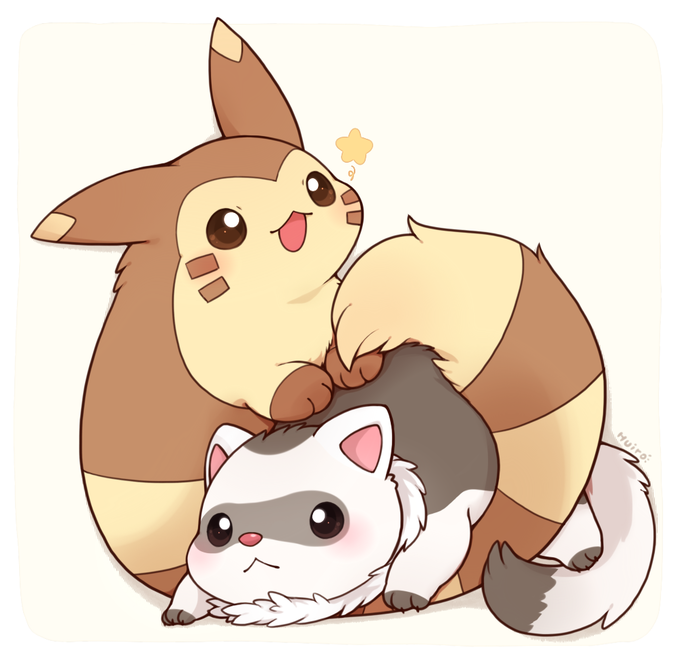 Furret and Ferret Pokémon Know Your Meme