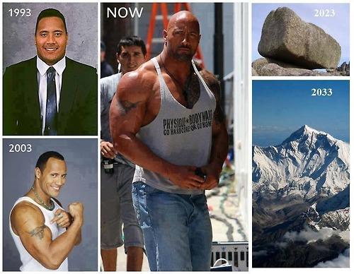 evolution of dwayne \ e09 evolution of dwayne \