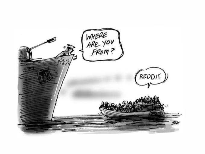 bd8.jpg