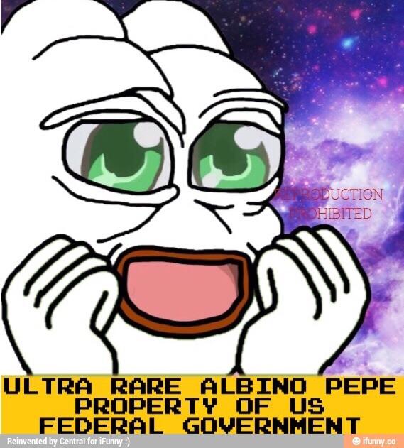 ae5.jpg
