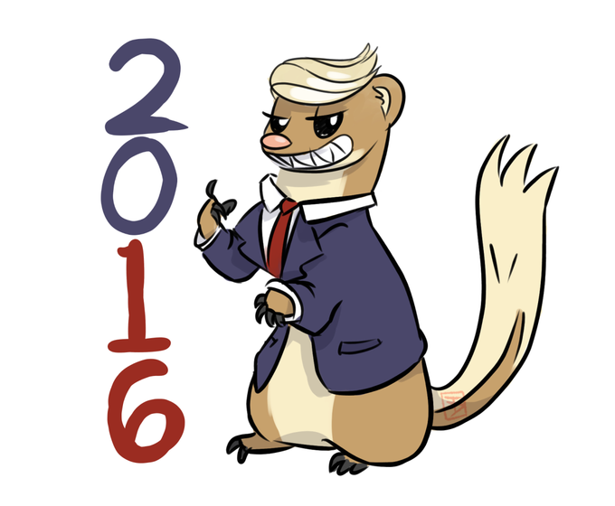 http://i0.kym-cdn.com/photos/images/newsfeed/001/136/645/c1f.png