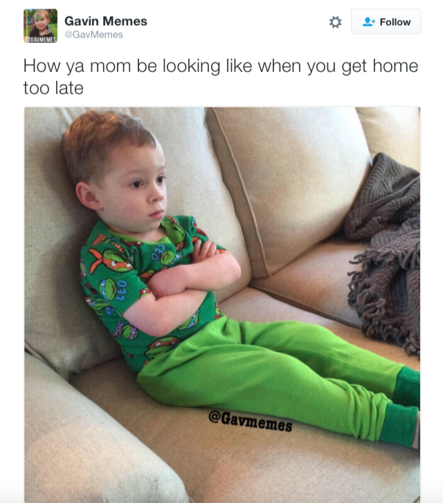 gavin know your meme aef gavin know your meme