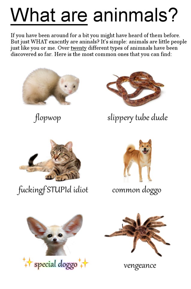 Yo Google Whats A Good Ass Name For A Dog Yo Google Whats A Good Ass Name For A Dog