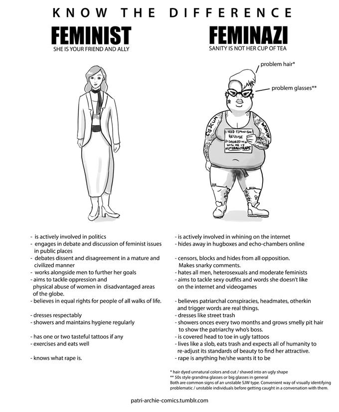 Easy Topics For Essays The Difference Between A Feminist And A Feminazi Feminism Know The Difference Between A Feminist And Writing A Psychology Essay also Persuasive Essay Samples For High School Feminist Essay Paper Gender Analysis Of Little Women Sesapzai Mom Myth Of Sisyphus Essay