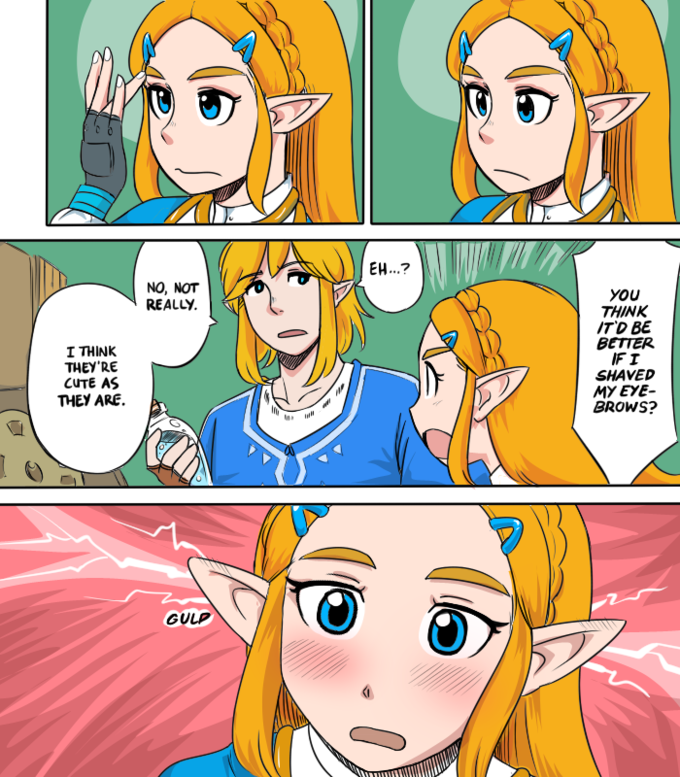 Zeldas Eyebrow Issue The Legend Of Zelda Breath Of The Wild Know Your Meme 8128