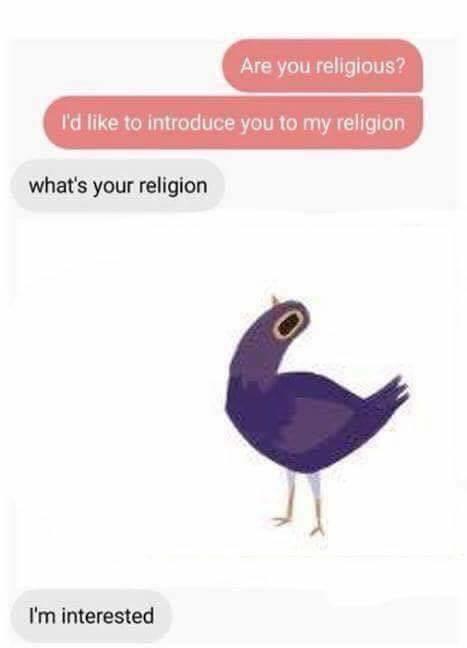 Trash Dove - Religious Meme