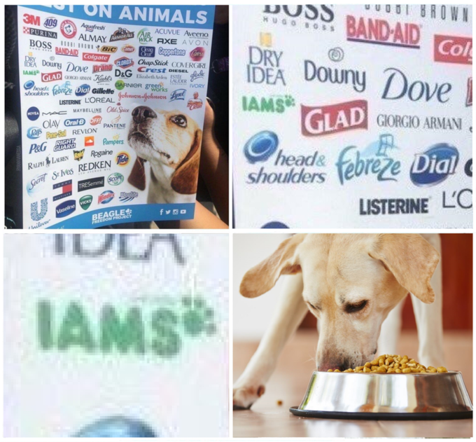 Iams These Companies Test On Animals Know Your Meme