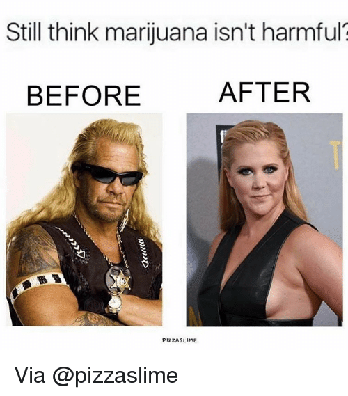 still think marijuana isn't harmful? still think it's harmless 5e6 still think marijuana isn't harmful? still think it's harmless