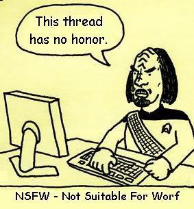 Worf Disapproves of Your Shenanigans