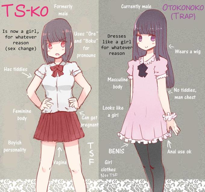 Gender Swap vs Trap Traps Know Your Meme