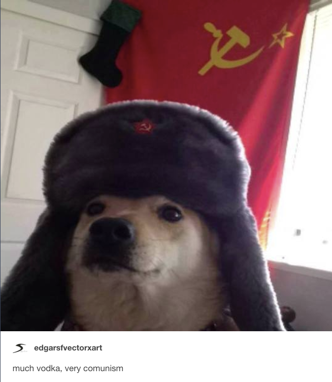Comrade Doggo original pic Comrade Doggo original pic