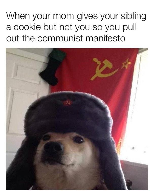 Comrade Doggo meme of when your brother gets a cookie but you don't Comrade Doggo meme of when your brother gets a cookie but you don't