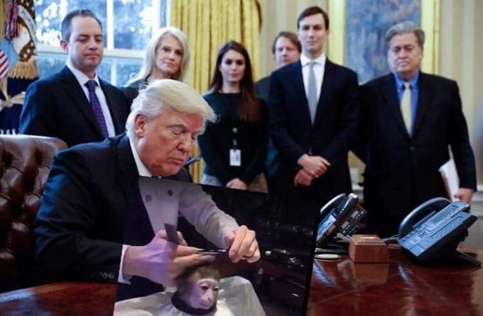 photoshop meme of President Donald Trump in the Oval Office, giving a monkey a haircut