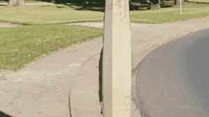 711.gif