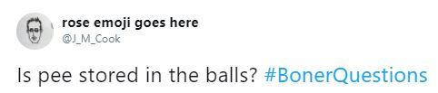 Tweet by @J_M_Cook asking if pee is stored in the balls