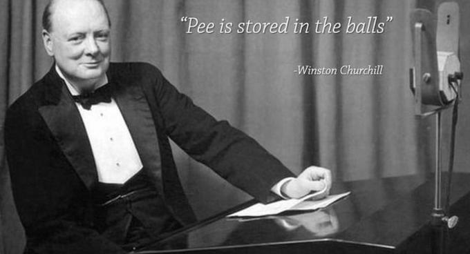 Fake quote attributed to Winston Churchill about pee being stored in the balls