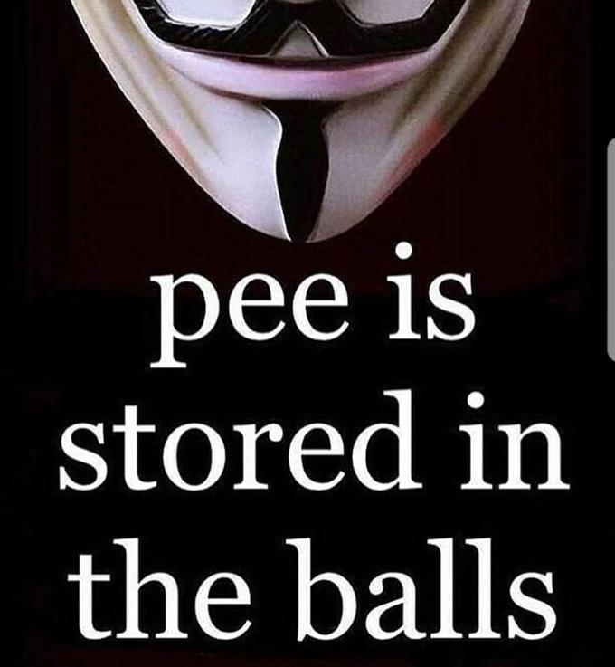 Meme of a Guy Fawkes Mask with caption that pee is stored in the balls