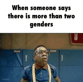 there are only 2 genders know your meme 70c there are only 2 genders know your meme