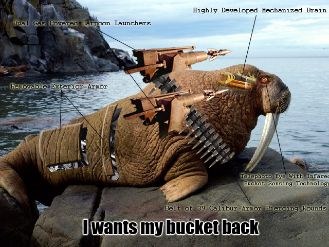 Posted Image