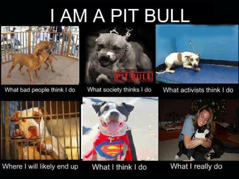Image What I Really