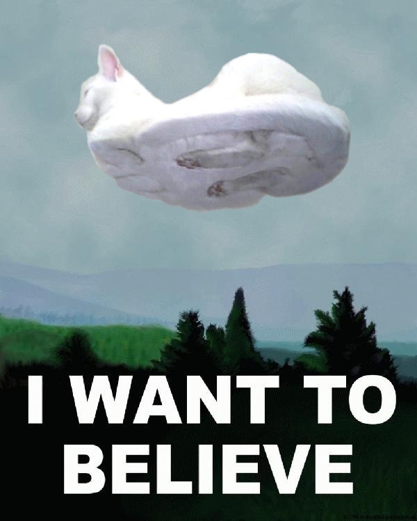 I WANT TO BELIEVE Fox Mulder Photo Caption Phenomenon I WANT TO BELIEVE Fox Mulder Photo Caption Phenomenon