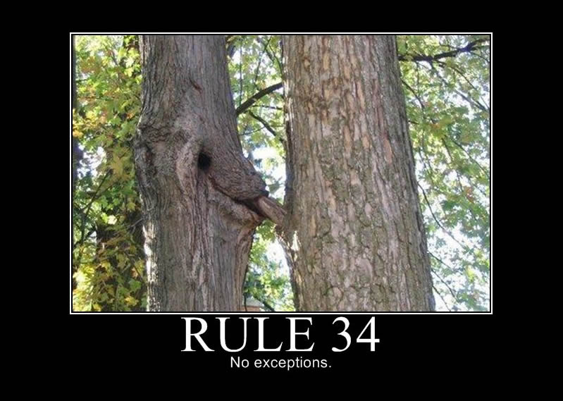 Rule 34 videos Rule 34 videos