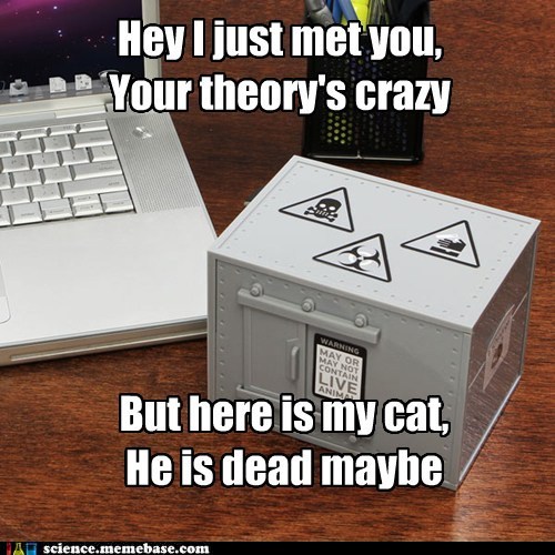 Image result for schrodinger dead cat meme