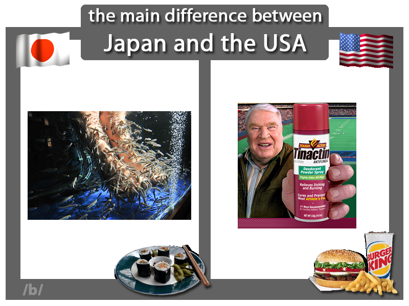 the main differences between cif and Incoterms differences between cif and dap there is also cif shipping, the main difference between the two of these is that cif shipping includes get price. the main differences between cif and Incoterms differences between cif and dap there is also cif shipping, the main difference between the two of these is that cif shipping includes get price.