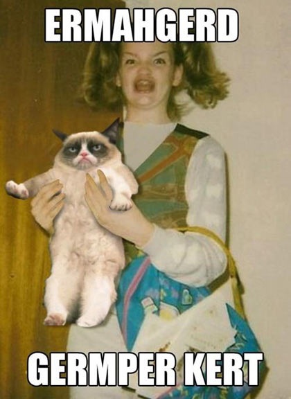 germper kert grumpy cat ermahgerd know your meme christmas cup controversy