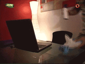 http://i0.kym-cdn.com/photos/images/original/000/455/262/212.gif
