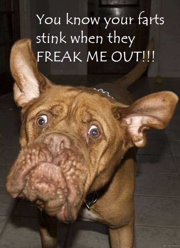 Stinky Farts Know Your Meme