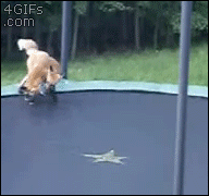 22c.gif