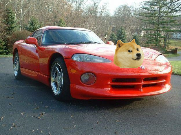 doge viper doge know your meme 64e doge viper doge know your meme