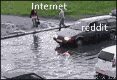 db3.gif