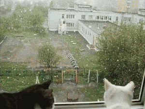 3ad.gif