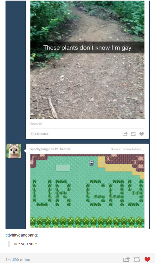 a61.png