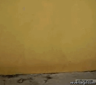744.gif