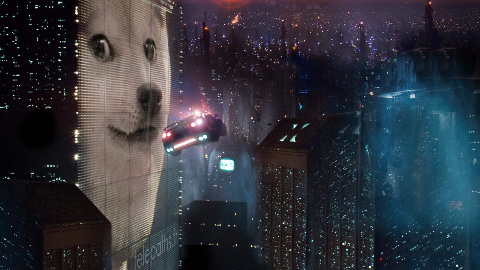doge runner doge know your meme 5e8 doge runner doge know your meme