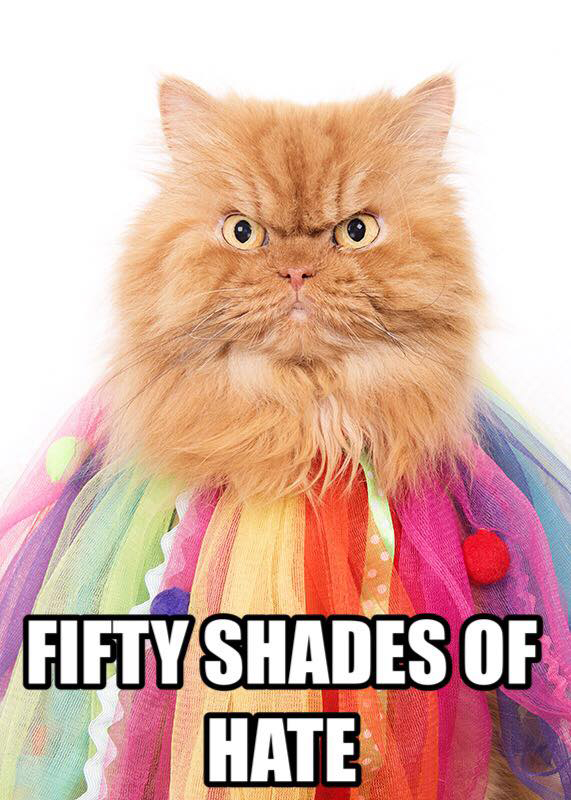 angry cat garfi garfi know your meme 87f angry cat garfi garfi know your meme
