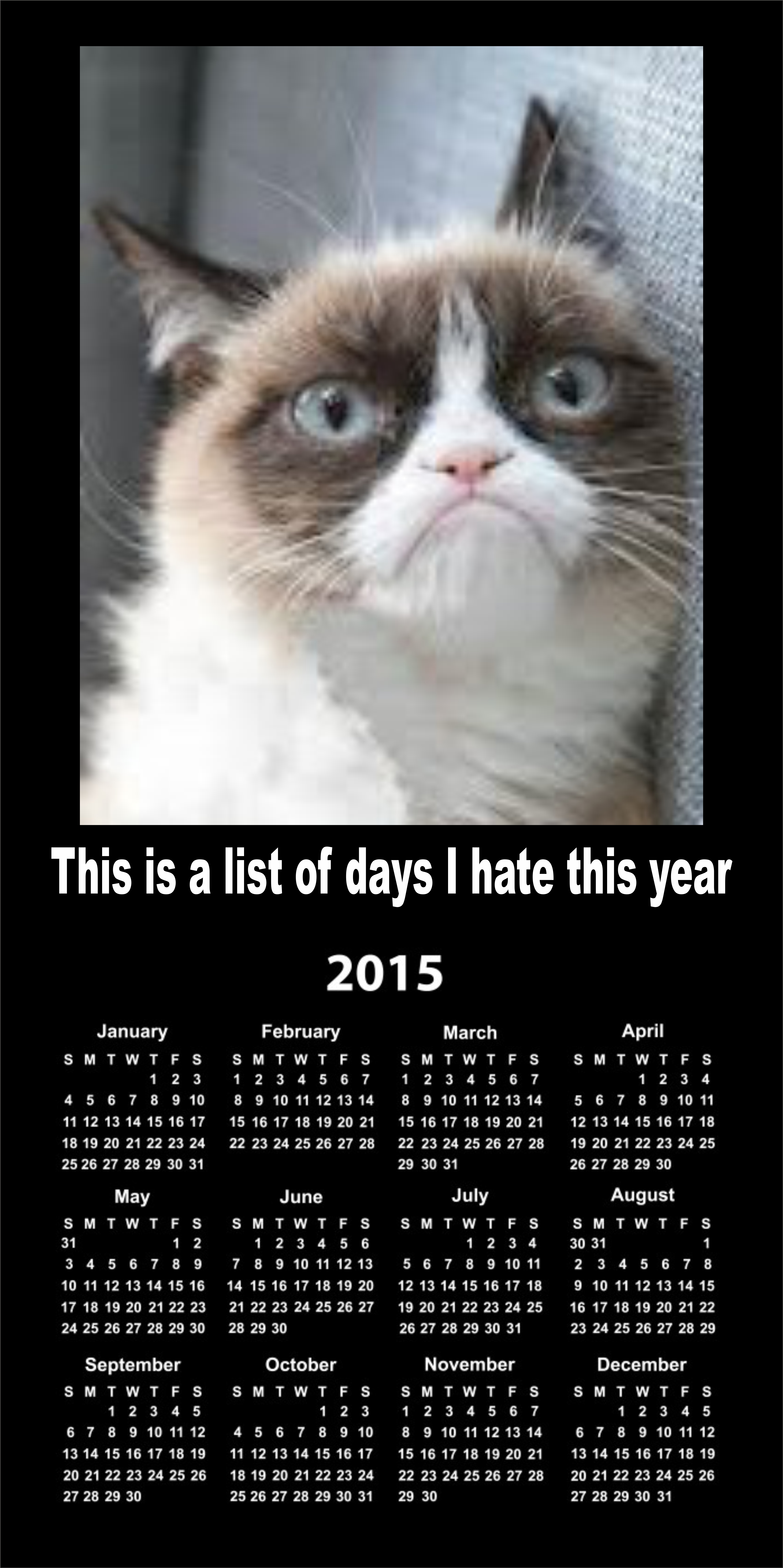 grumpy calendar 2015 grumpy cat know your meme 724 grumpy calendar 2015 grumpy cat know your meme