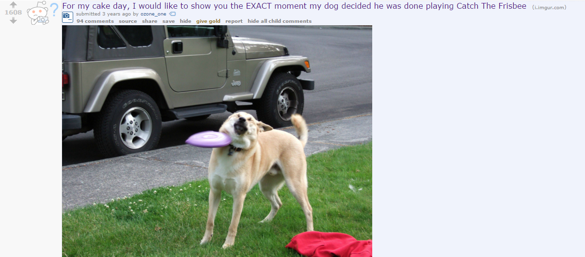 Original Frisbee Doge Post Frisbee Doge Know Your Meme