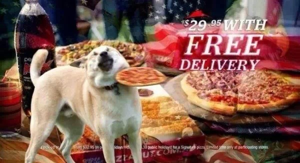 free delivery frisbee doge know your meme 10b free delivery frisbee doge know your meme