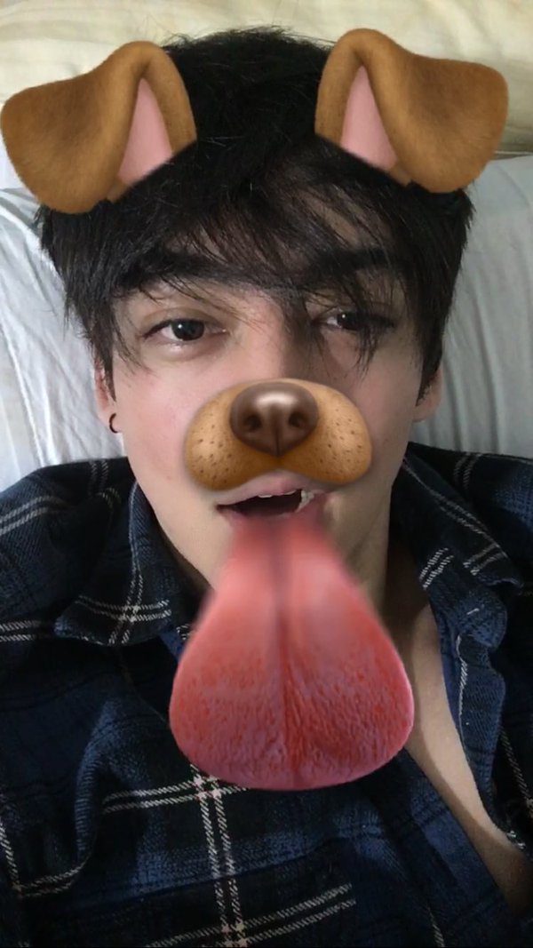 ezra miller joji joji with a dog filter dog filter know your meme ezra miller joji joji with a dog filter dog filter know your meme