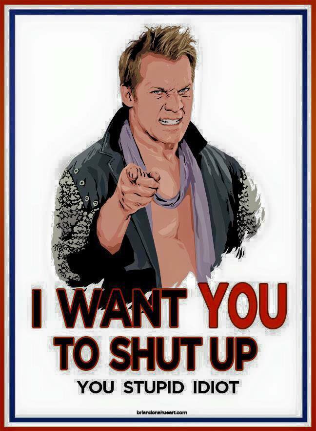 chris jericho brings out the stupid idiot in all of us 148 chris jericho brings out the stupid idiot in all of us,Your Stupid Meme