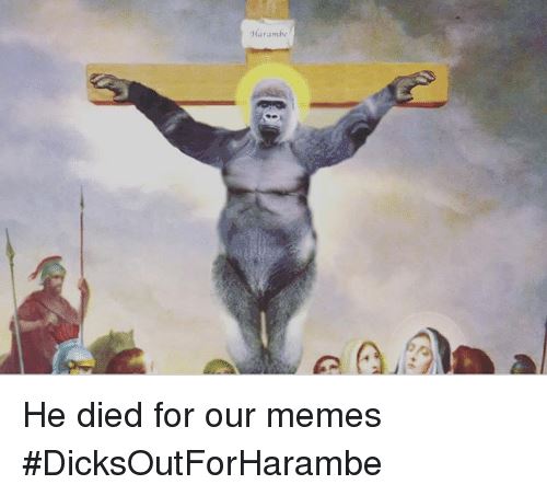 why is harambe still a thing ign boards