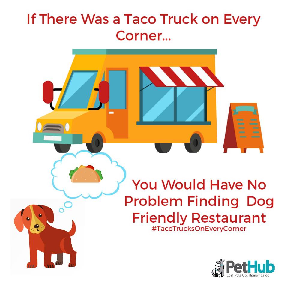 taco trucks on every corner tacotrucksoneverycorner know your e0c taco trucks on every corner tacotrucksoneverycorner know your,Taco Truck Meme